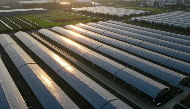 招商合作平台适用场景与限制分析
