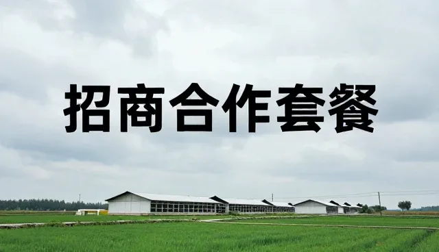 发布入口如何驱动企业名录整合趋势